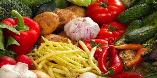 商務預報 食用農產品市場動態與價格趨勢