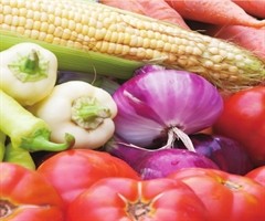 筑牢餐桌防線 中國食用農(nóng)產(chǎn)品安全現(xiàn)狀與展望