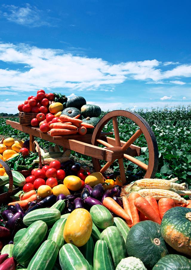 新規(guī)落地，守護(hù)舌尖安全——孫海山律師解讀《食用農(nóng)產(chǎn)品市場銷售質(zhì)量安全監(jiān)督管理辦法》