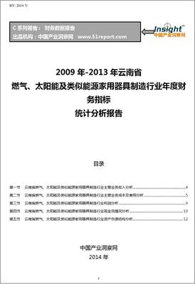2009-2013年云南省燃氣、太陽能及類似能源家用器具制造行業財務指標分析年報——聚焦太陽能用器具制造