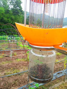單燈太陽能智能電網式滅蟲器 前沿科技賦能綠色農業，量產工藝揭示價錢密碼